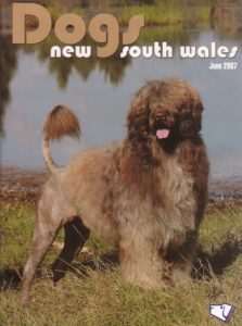 Roque featured on the cover of Dogs NSW Journal June 2007