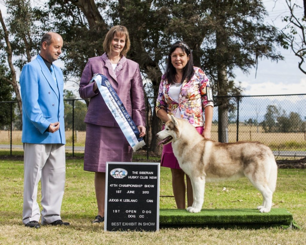 DJ wins Best In Specialty Show under breed specialist Kim Le Blanc of USA