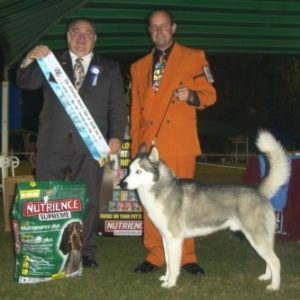 Chief Australian Bred in Show Nov. 03