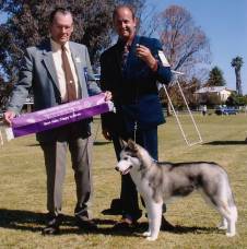 Chief at his 3rd All Breeds Baby Puppy in Show