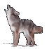 howlingwolfr